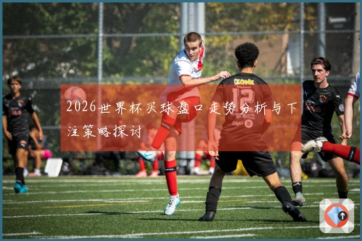 2026世界杯买球盘口走势分析与下注策略探讨