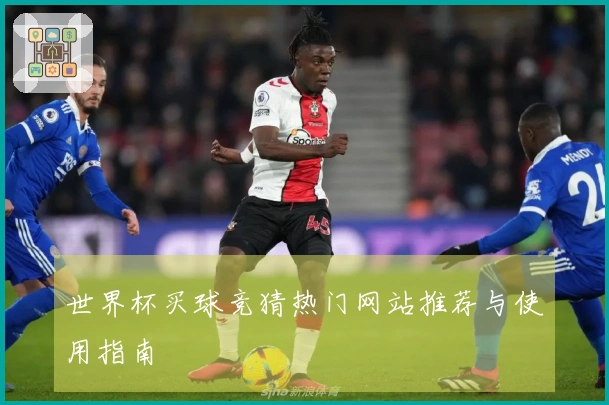 世界杯买球竞猜热门网站推荐与使用指南