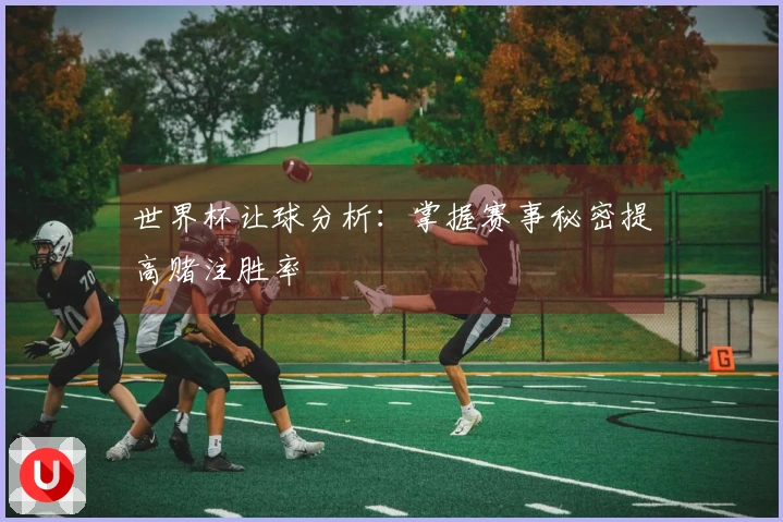 世界杯让球分析：掌握赛事秘密提高赌注胜率
