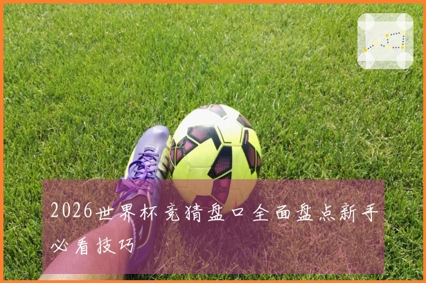 2026世界杯竞猜盘口全面盘点新手必看技巧