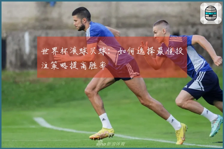 世界杯滚球买球：如何选择最佳投注策略提高胜率