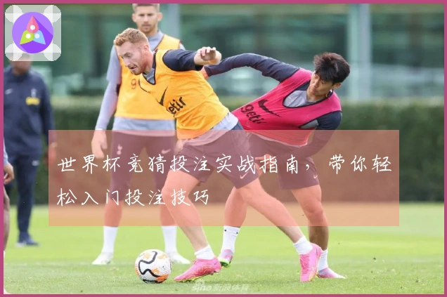 世界杯竞猜投注实战指南，带你轻松入门投注技巧