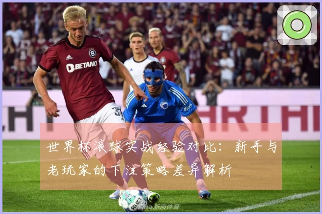 世界杯滚球实战经验对比：新手与老玩家的下注策略差异解析