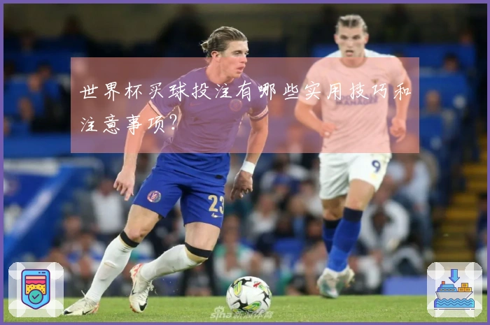 世界杯买球投注有哪些实用技巧和注意事项？